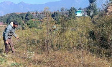 पहाड़ों में फूलों की खेती बदल रही किसानों की जिंदगी