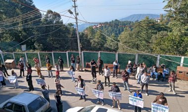 एसएफआई-एचपीयू ने आज छात्रों  मांगो को लेकर पिंक पेटल पर धरना प्रदर्शन किया