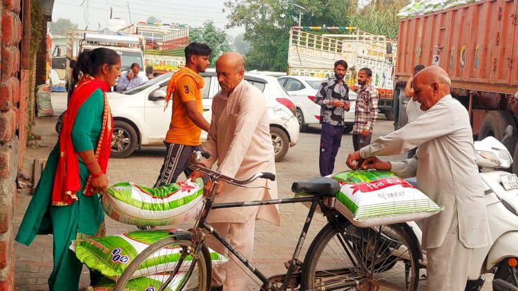 ‘धन्यवाद सरकार...बढ़िया बीज मिल रहा घरद्वार’