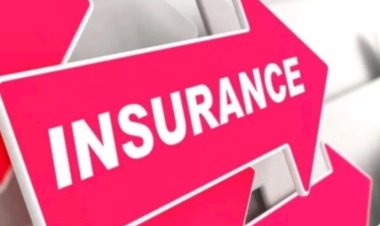 बीपीएल परिवारों के लिए बड़ा सहारा है मातृ शक्ति बीमा योजना किसी भी दुर्घटना में महिला की मृत्यु पर दिए जाते हैं 2 लाख रुपये