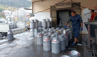 दत्तनगर दुग्ध प्रसंस्करण संयंत्र नई दुग्ध क्रांति में निभाएगा अहम भूमिका