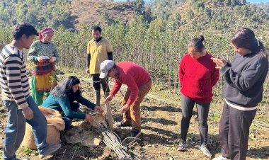 रंग ला रहे बागवानी विकास को बढ़ावा देने के प्रदेश सरकार के प्रयास, लेह-लद्दाख विश्वविद्यालय को सवा पांच लाख रुपए के उच्च गुणवत्ता के पौधे वितरित
