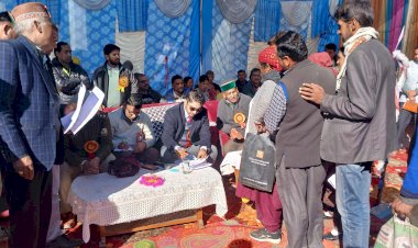 उपायुक्त ने सराज विधानसभा क्षेत्र में राजस्व कार्यालयों व राजकीय संस्थानों का किया औचक निरीक्षण