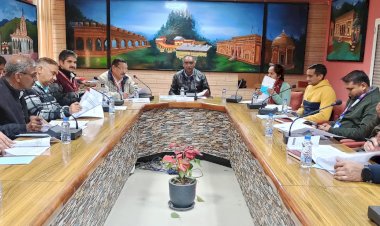 जिला स्तरीय समीक्षा समिति एवं बैंक सलाहकार समिति की बैठक में डीसी ने दिए निर्देश