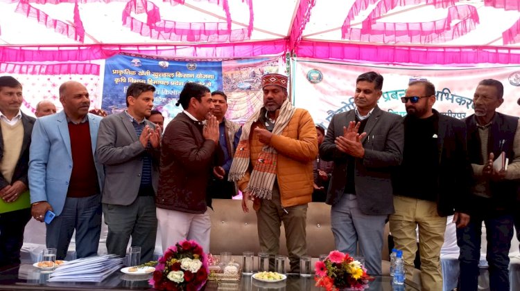 प्राकृतिक खेती से उगाई 4000 क्विंटल मक्की खरीदी : सी.पालरासू