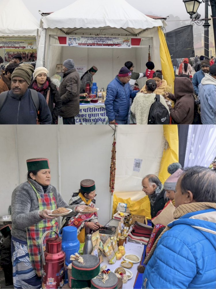 विटंर कार्निवाल में पर्यटकों की पहली पसंद पाइन नीडल प्रोडक्ट्स