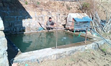 सपेड़ी गांव के दीनानाथ के लिए मछली पालन व्यवसाय बना स्वरोजगार का उत्तम साधन