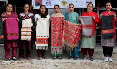 हाथ के हुनर से लिखी आर्थिक स्वावलंबन की कहानी, स्यांज की महिलाएं खड्डी पर बुन रहीं सुनहरे भविष्य के सपने