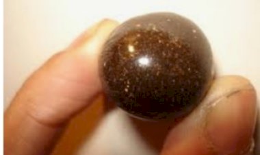 राजगढ़ में 1.119 किलोग्राम चरस पकड़ी, पुलिस ने धरा तस्कर