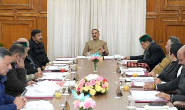 खैर की कटाई के अतिरिक्त अन्य पेड़ों की कटाई पर प्रतिबंध लगाने को मंजूरी हिमाचल प्रदेश मंत्रिमंडल के निर्णय