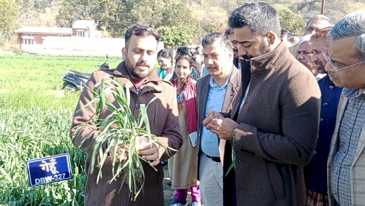 उपायुक्त ने किसानों से मिश्रित खेती अपनाने का किया आह्वान