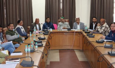 किसानों को प्राकृतिक खेती के लिए करें प्रेरित: पठानिया