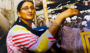 ‘हिमईरा’ उत्पादों को एक माह में देशभर से मिले एक हजार ऑर्डर ग्रामीण महिलाओं को सशक्त बना रहा ‘हिमईरा’, सकारात्मक बदलाव की ओर बढ़े कदम