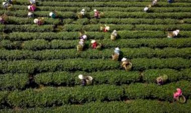 धौलाकुआं में एक दिवसीय किसान समारोह का आयोजन 24 फरवरी को