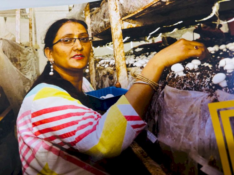 ‘हिमईरा’ उत्पादों को एक माह में देशभर से मिले एक हजार ऑर्डर ग्रामीण महिलाओं को सशक्त बना रहा ‘हिमईरा’, सकारात्मक बदलाव की ओर बढ़े कदम