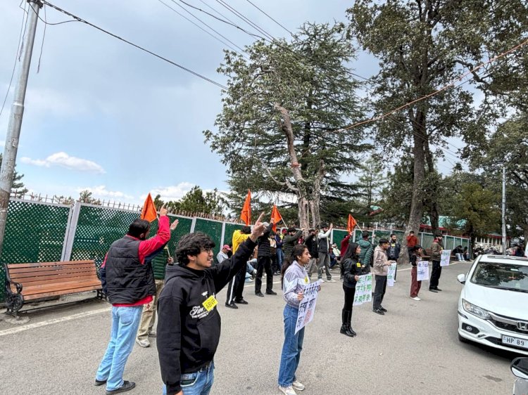 विद्यार्थी परिषद प्रदेश सरकार के विरोध में किया धरना प्रदर्शन, शिक्षा की गुणवत्ता को सुधरे एवं युवाओं को स्थाई रोजगार दे सरकार।