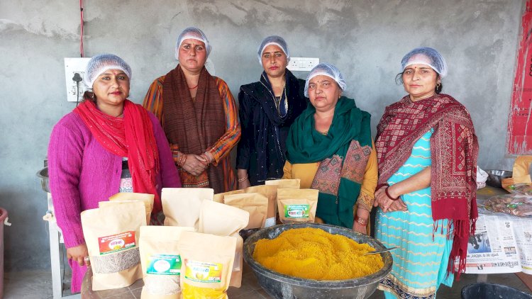 स्वयं सहायता समूहों से जुड़कर महिलाएं बन रही आर्थिक रूप से मजबूत