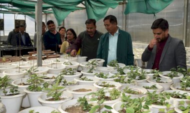 पुष्प खेती का विस्तार प्रदेश सरकार की प्राथमिकता - जगत सिंह नेगी