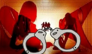 बद्दी पुलिस का बड़ा एक्शन : गुल्लर वाला में देह व्यापार का भंडाफोड़, पुलिस ने 11 महिलाओं को बचाया एफआईआर दर्ज