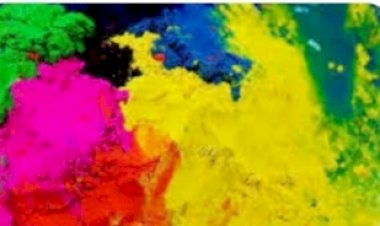 होली उत्सव के लिए दूसरे दिन भी लोक कलाकारों ने दिए ऑडिशन