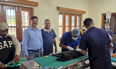 नेशनल लाइव स्टॉक मिशन के तहत पशु चिकित्सालय खड्ड में मेगा शिविर आयोजित