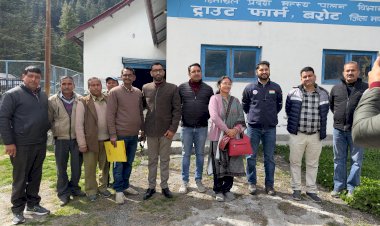 लंबाडग नदी बरोट में डाला गया 15,000 ब्राउन ट्राउट फिंगरलिंग्स का बीज