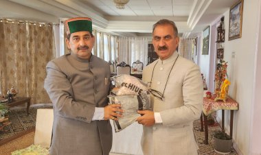 सीएम को उपमुख्य सचेतक ने दिया कचनार का उपहार