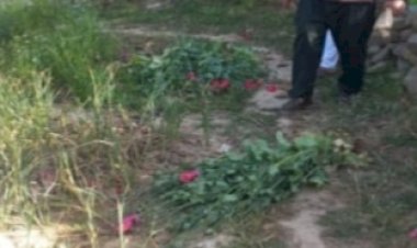 विक्रम बाग़ में अफीम की खेती: 113 पौधे किए नष्ट, आरोपी 14 लिए भेजा जेल..