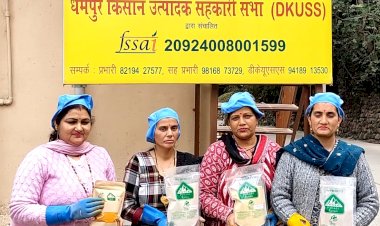 सफलता की कहानी..... धर्मपुर क्षेत्र में जैविक हल्दी की खेती से सफलता की कहानी लिख रही महिलाएं, हल्दी के लिए समर्थन मूल्य घोषित करने पर मुख्यमंत्री को कहा थैंक्य