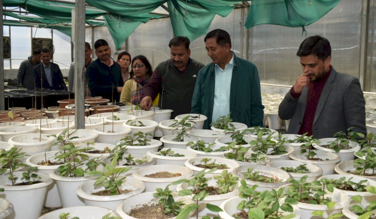 पुष्प खेती का विस्तार प्रदेश सरकार की प्राथमिकता - जगत सिंह नेगी