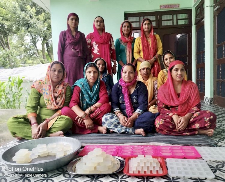 परिवार ही नहीं, समाज की सेहत का भी ख्याल रख रही हैं महिलाएं