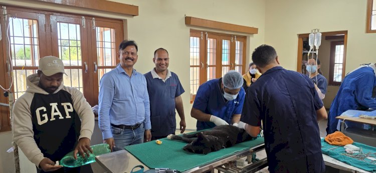 नेशनल लाइव स्टॉक मिशन के तहत पशु चिकित्सालय खड्ड में मेगा शिविर आयोजित