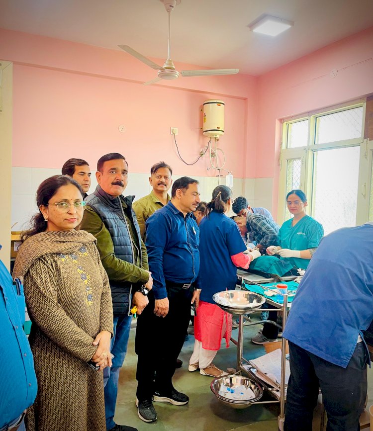 बसाल में नेशनल लाइव स्टॉक मिशन के तहत मेगा शिविर आयोजित