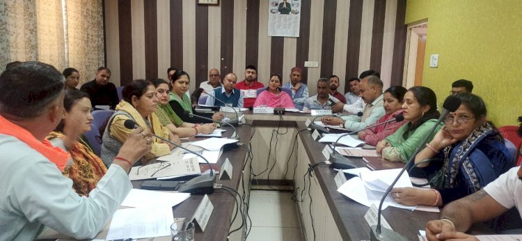 जिला परिषद की बैठक में कई मुद्दों पर हुई व्यापक चर्चा
