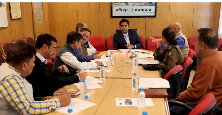 शहीदों की प्रतिमाओं और पार्कस का उचित रखरखाव करें सुनिश्चित: डीसी