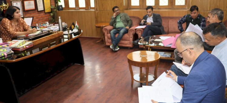 उपायुक्त ने  जिला स्तरीय सड़क सुरक्षा समिति बैठक की अध्यक्षता की