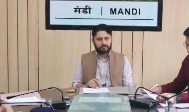 मंडी में हर्षोल्लास के साथ मनाया जाएगा हिमाचल दिवस समारोह