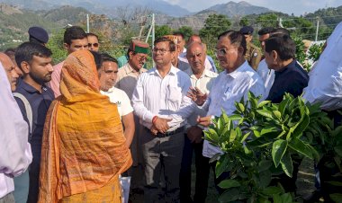 बागवानी मंत्री ने किया नाचन विधानसभा क्षेत्र में एचपी शिवा परियोजना के क्लस्टरों का निरीक्षण
