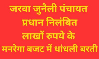 जरवा-जुनैली पंचायत : लाखों  के सरकारी बजट का दुरुपयोग. ग्राम पंचायत प्रधान निलंबित..