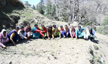 प्राकृतिक खेती उप-मंडल बनने से पांगी घाटी के किसानों की आर्थिकी को मिलेगा सम्बल