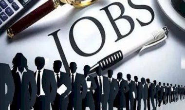 वेट फार्मा लिमिटेड में भरे जाएंगे 10 पद, साक्षात्कार 30 को