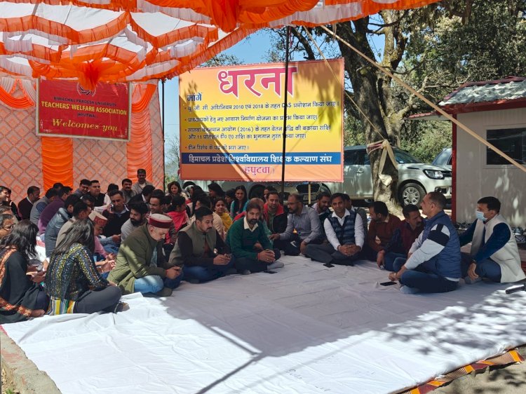 शिमला प्राध्यापकों की उपेक्षा के विरोध में धरना – हपुटवा ने जताया रोष, मांगों को लेकर दिया सरकार को अल्टीमेटम