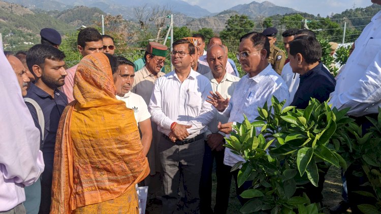 बागवानी मंत्री ने किया नाचन विधानसभा क्षेत्र में एचपी शिवा परियोजना के क्लस्टरों का निरीक्षण