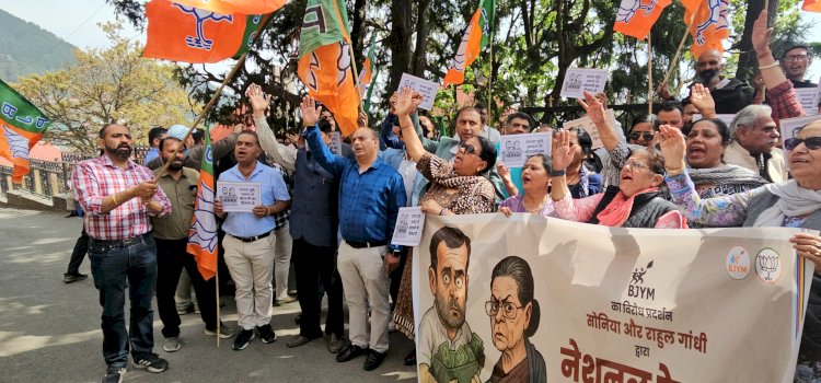 भाजयुमो  ने फूंका राहुल गांधी का पुतला,  मुख्यमंत्री नेशनल हेराल्ड को चंदा नहीं, बल्कि विज्ञापन के रूप में पैसा देते हैं : सुशील