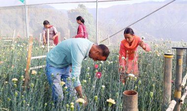 सफलता की कहानीःआईटी सेक्टर की नौकरी को तिलांजलि दे भाग सिंह ने पुष्प उत्पादन  की राह