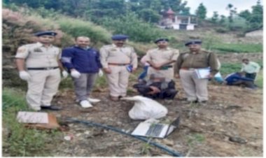 नोहराधार में नष्ट किए 560 अफीम के पौधे, आरोपी के खिलाफ एफआईआर दर्ज