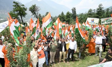 तिरंगा यात्रा ऑपरेशन सिंदूर के जाबांजों को देशवासियों का नमन है : जयराम ठाकुर