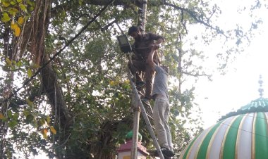 पक्का टैंक क्षेत्र में बंदरों के उत्पात से बत्ती टेढ़ घन्टे रही गुल, गर्मी से लोग हुए बेहाल...