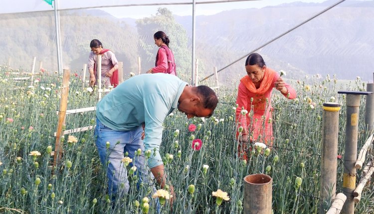 सफलता की कहानीःआईटी सेक्टर की नौकरी को तिलांजलि दे भाग सिंह ने पुष्प उत्पादन  की राह