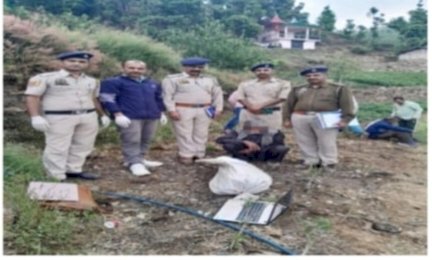 नोहराधार में नष्ट किए 560 अफीम के पौधे, आरोपी के खिलाफ एफआईआर दर्ज